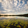 Отель Mmakuba Game Lodge, фото 28