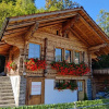 Отель Little Chalet Pirelli 1783, фото 1