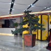 Отель Xinmi Magpie Boutique  Hotel (Zhongqiang Guangnian City Plaza), фото 1