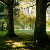 Отель Silverstream Lodge, фото 34