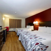 Отель Red Roof Inn Osage Beach - Lake of the Ozarks, фото 5