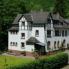 Отель Wald Villa Üssbach, фото 1