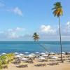 Отель Hyatt Regency Grand Reserve Puerto Rico, фото 28
