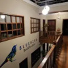 Отель BlueBird Bed and Breakfast, фото 39