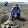 Отель Glamping Monterrico, фото 18