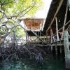 Отель Urraca Private Island Eco Lodge - Adults Only, фото 11