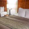 Отель Comfort Inn & Suites, фото 5