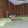 Отель Tambopata Guest House, фото 2