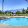Отель Best Value in Palm Springs for 4 Persons City License146,17751,17753,17754,17755, фото 11