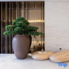 Отель JI Hotel (Shanghai New International Expo Center Chenchun Road), фото 8