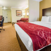 Отель Comfort Suites, фото 11