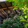 Отель Moganshan QingmanHouse, фото 10