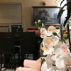 Отель Cactus Inn and Suites, фото 5