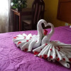 Отель Hostal Souvenir, фото 4