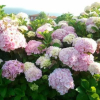 Отель La Quintana del Cuera, фото 30