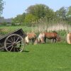 Отель Chic Farmhouse at Overijssel With a Trampoline, фото 20