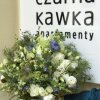 Отель Czarna Kawka Apartments в Кракове