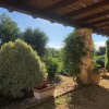 Отель Masseria Tolla, фото 17