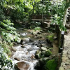 Отель Bidaisari Resort, фото 18