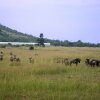 Отель Kedar Heritage Lodge, фото 4