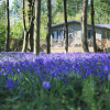 Отель Hollicarrs - Wildflower Lodge, фото 18