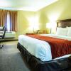 Отель Comfort Inn Marshall Station, фото 5