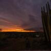 Отель Eagle Rock  Guest Farm, фото 7