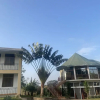 Отель Tumaini Homestay, фото 13