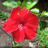 Отель Hacienda De Los Suenos, фото 11