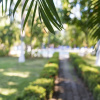 Отель Playa Junquillal Eco Resort, фото 12