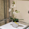 Отель JOIVY Amazing Location! - Lovely Rose St Apt in New Town, фото 10