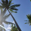 Отель Harmony Bay Resort and Dive Center, фото 9