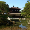 Отель APA Hotel Kyoto Ekikita, фото 34