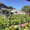 Отель Andrea's Hidden Cottage, фото 14