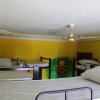 Отель Eltravo Hostel Udaipur, фото 9