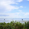Отель WatermarkHotel&Resorts OkinawaMiyakojima, фото 17