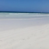 Отель Simba + Oryx Beach Cottages, фото 6