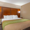 Отель Comfort Inn Yulee - Fernandina Beach, фото 4