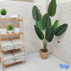 Отель Cozy Homestay Ipoh - Near Station 18, фото 6