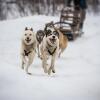 Отель Auberge du Lac Taureau, фото 22