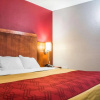 Отель Econo Lodge Rochester, фото 17