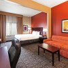 Отель Comfort Inn & Suites Irving Las Colinas DFW, фото 7