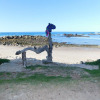Отель Beachport Bed and Breakfast, фото 12