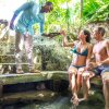 Отель Couples Sans Souci All Inclusive, фото 27