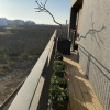 Отель Green House Homestay, фото 5