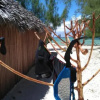 Отель Ocean Lodge Kite & Windsurf, фото 11