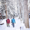 Отель Downtown Aspen 2 Bedroom Condo, фото 1