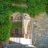 Отель Vintage Castle in Monteriggioni Tuscany near Forest, фото 1