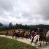 Отель Agriturismo Il Casale Del Barone, фото 15