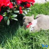 Отель Creek and Wildcat Hostel, фото 9